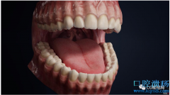 口腔模型制作和渲染制作流程