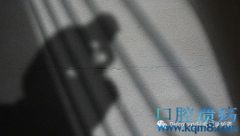 湖北、浙江、山东三省五所监狱512人确诊新冠肺炎，监狱防控出了什么问题？