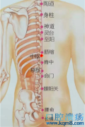 中枢穴的准确位置图功效与作用：健脾利湿、清热止痛，治疗呕吐，腹满，胃痛，食欲不振，腰背痛